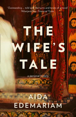 Aida Edemariam The Wife’s Tale обложка книги