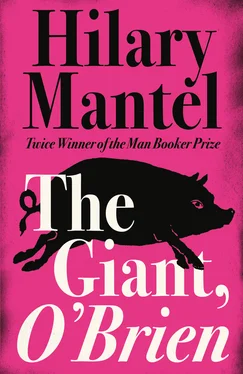 Hilary Mantel The Giant, O’Brien обложка книги