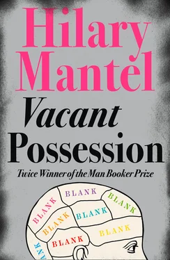 Hilary Mantel Vacant Possession обложка книги