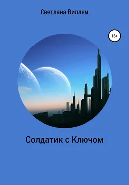 Светлана Виллем Солдатик с ключом обложка книги