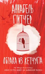 Аннабель Питчер - Облака из кетчупа