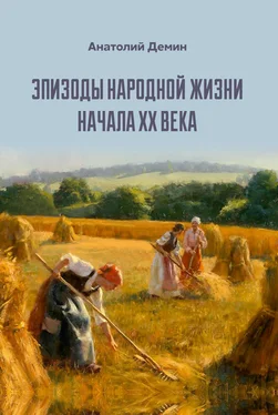 Анатолий Демин Эпизоды народной жизни начала XX века обложка книги