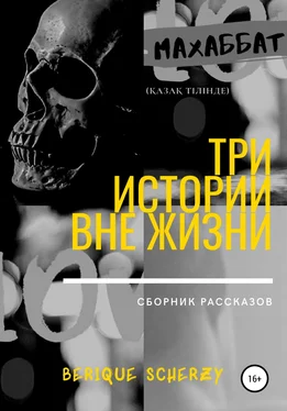 Berique Scherzy Три истории вне жизни. Сборник рассказов обложка книги