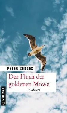 Peter Gerdes Der Fluch der goldenen Möwe обложка книги