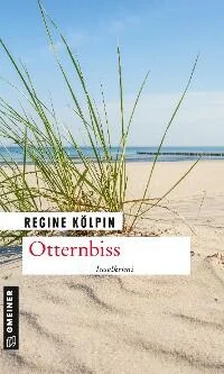 Regine Kölpin Otternbiss обложка книги