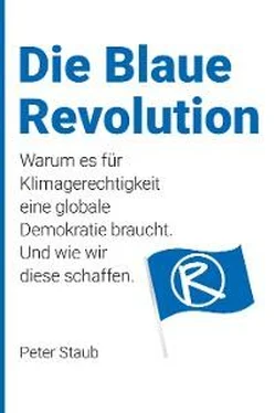 Peter Staub Die Blaue Revolution обложка книги