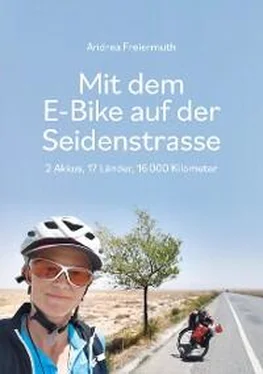 Andrea Freiermuth Mit dem E-Bike auf der Seidenstrasse обложка книги