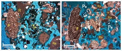 Figure 1Thin Section structure and Quarry Stones Saba et al 2019 Table - фото 96