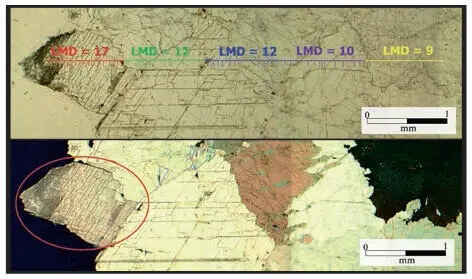 Figure 8 PM micrograph mosaics of Montesclaros marble M4 sample above - фото 214