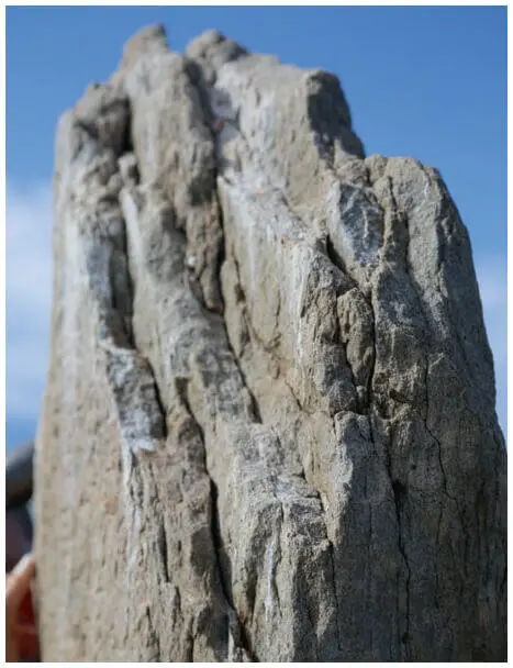 Figure 2Detail of the delamination in the upper third of the main stele 2018 - фото 71