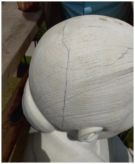 Figure 2 Progressive crack on the head A comprehensive conservation and - фото 133