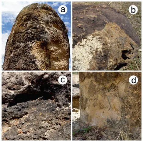 Figure 2 Decay phenomena on the monoliths a biological colonization and - фото 172