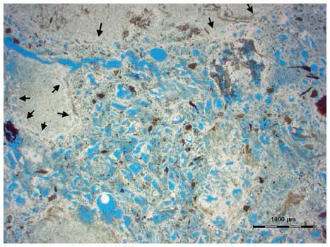 Figure 3Ilkhanid render with porous structure The grains in the upper part of - фото 83