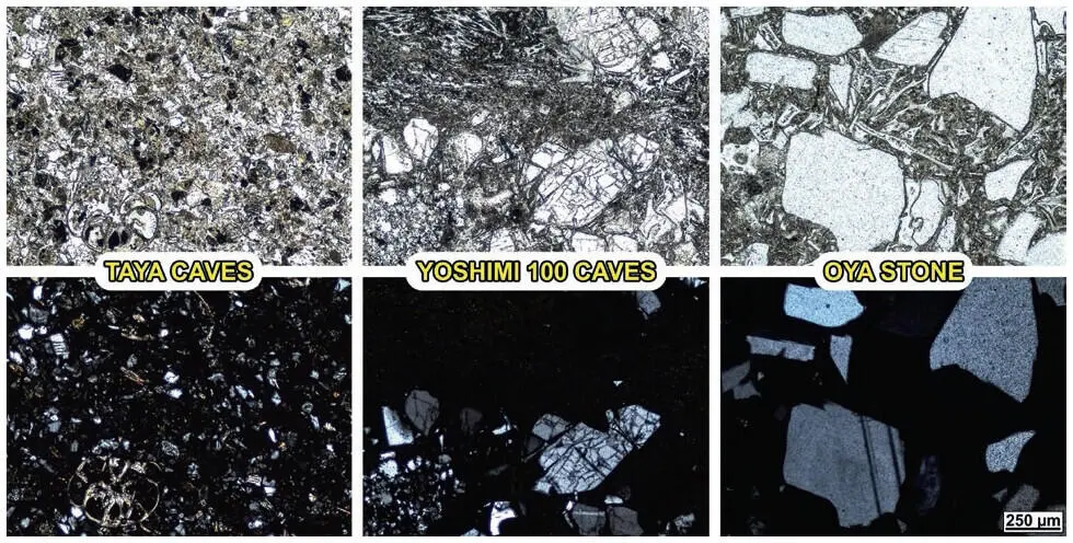 Figure 2 Thinsection photomicrographs in plane and crosspolarized light of - фото 188