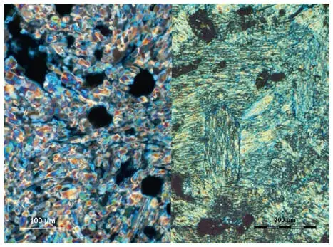 Figure 5left short prismatic anhydrite II crystals in samples fired at 1100 - фото 85