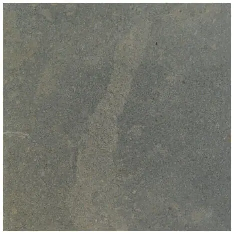 Figure 1Macroscopic appearance of Valverde limestone honed surface size of - фото 108