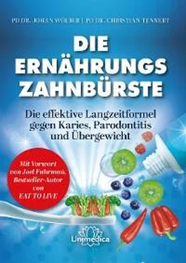 Johan Wölber Die Ernährungs-Zahnbürste обложка книги