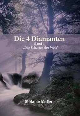 Stefanie Müller Die 4 Diamanten обложка книги