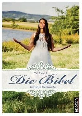 Johannes Biermanski Die Bibel (Teil 2/2) обложка книги
