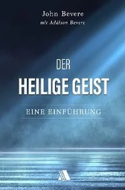 John Bevere Der Heilige Geist обложка книги