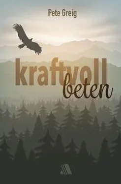 Pete Greig Kraftvoll beten обложка книги