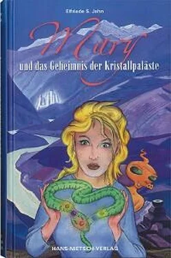Elfriede Jahn Mary und das Geheimnis der Kristallpaläste обложка книги
