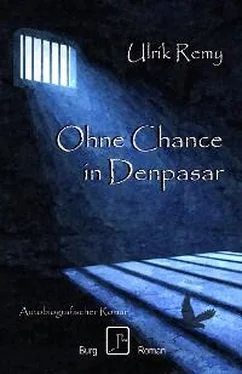 Ulrik Remy Ohne Chance in Denpasar обложка книги
