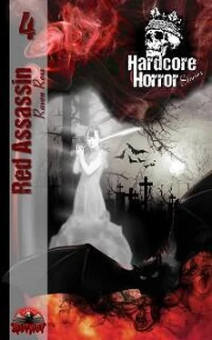 Raven Roxx Hardcore Horror Stories 4 обложка книги