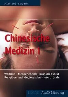 Michael Kotsch Chinesische Medizin 1 обложка книги