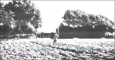 Bauernhof Gitt in Raineck Im Vordergrund steht mein Vater auf dem Feld - фото 7