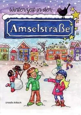 Ursula Häbich Winterzeit in der Amselstraße обложка книги
