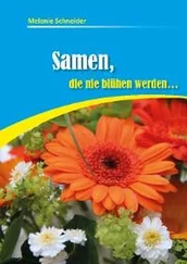 Melanie Schneider - Samen, die nie blühen werden