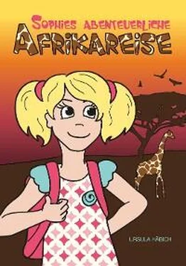 Ursula Häbich Sophies abenteuerliche Afrikareise обложка книги