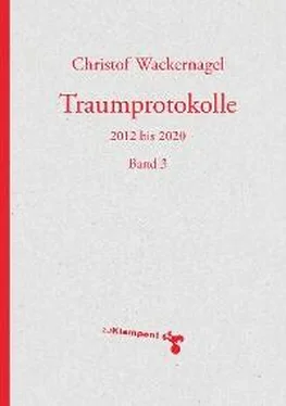 Christof Wackernagel Traumprotokolle обложка книги