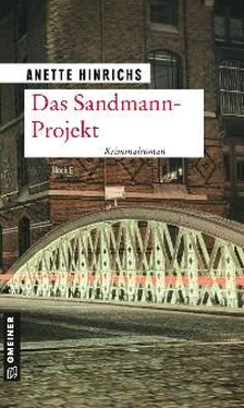 Anette Hinrichs Das Sandmann-Projekt обложка книги