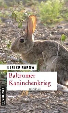 Ulrike Barow Baltrumer Kaninchenkrieg обложка книги