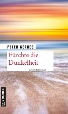 Peter Gerdes Fürchte die Dunkelheit обложка книги