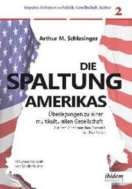 Arthur M. Schlesinger Die Spaltung Amerikas обложка книги