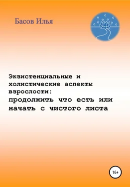 Илья Басов Экзистенциальные и холистические аспекты взрослости: продолжить что есть или начать с чистого листа обложка книги