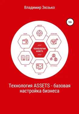 Владимир Зюзько Технология ASSETS – базовая настройка бизнеса обложка книги
