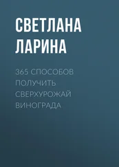 Светлана Ларина - 365 способов получить сверхурожай винограда
