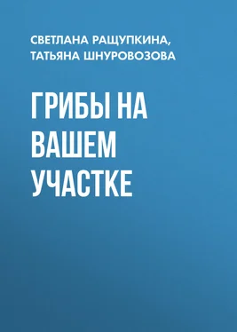 Татьяна Шнуровозова Грибы на вашем участке обложка книги