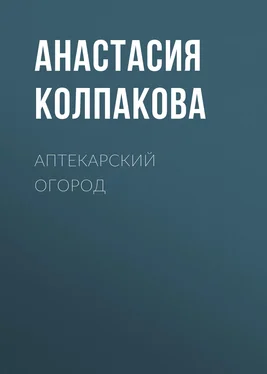 Анастасия Колпакова Аптекарский огород обложка книги