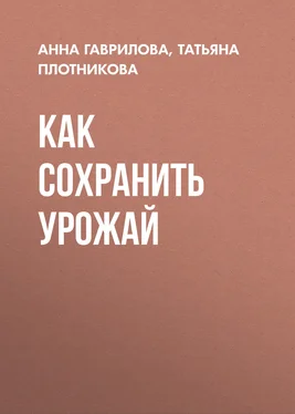 Татьяна Плотникова Как сохранить урожай обложка книги