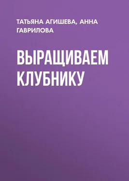 Анна Гаврилова Выращиваем клубнику обложка книги