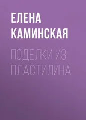 Елена Каминская - Поделки из пластилина