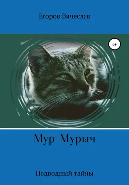 Вячеслав Егоров Мур-Мурыч. Подводные тайны обложка книги