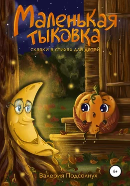 Валерия Подсолнух Маленькая Тыковка обложка книги