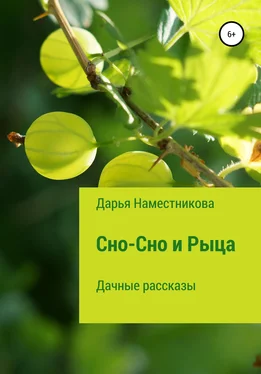 Дарья Наместникова Сно-Сно и Рыца. Дачные рассказы обложка книги