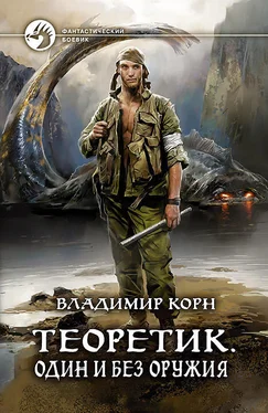 Владимир Корн Теоретик. Один и без оружия обложка книги